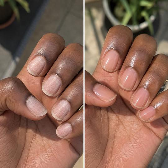 100,000+ happy customers